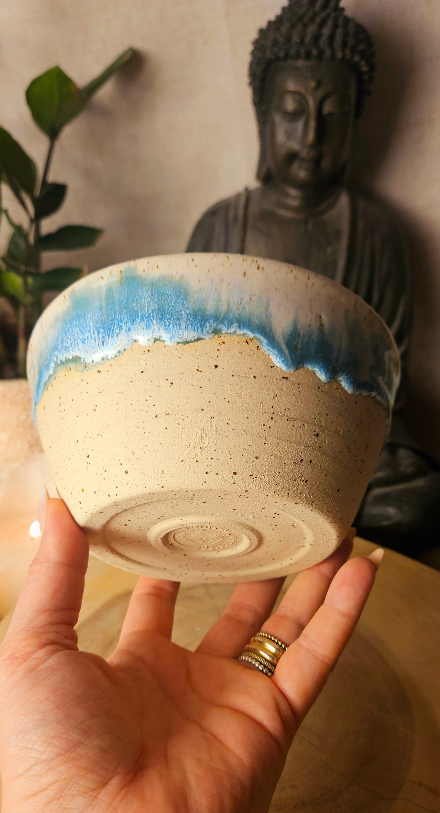 Traumhafte Schae in Meeresblau 🌊