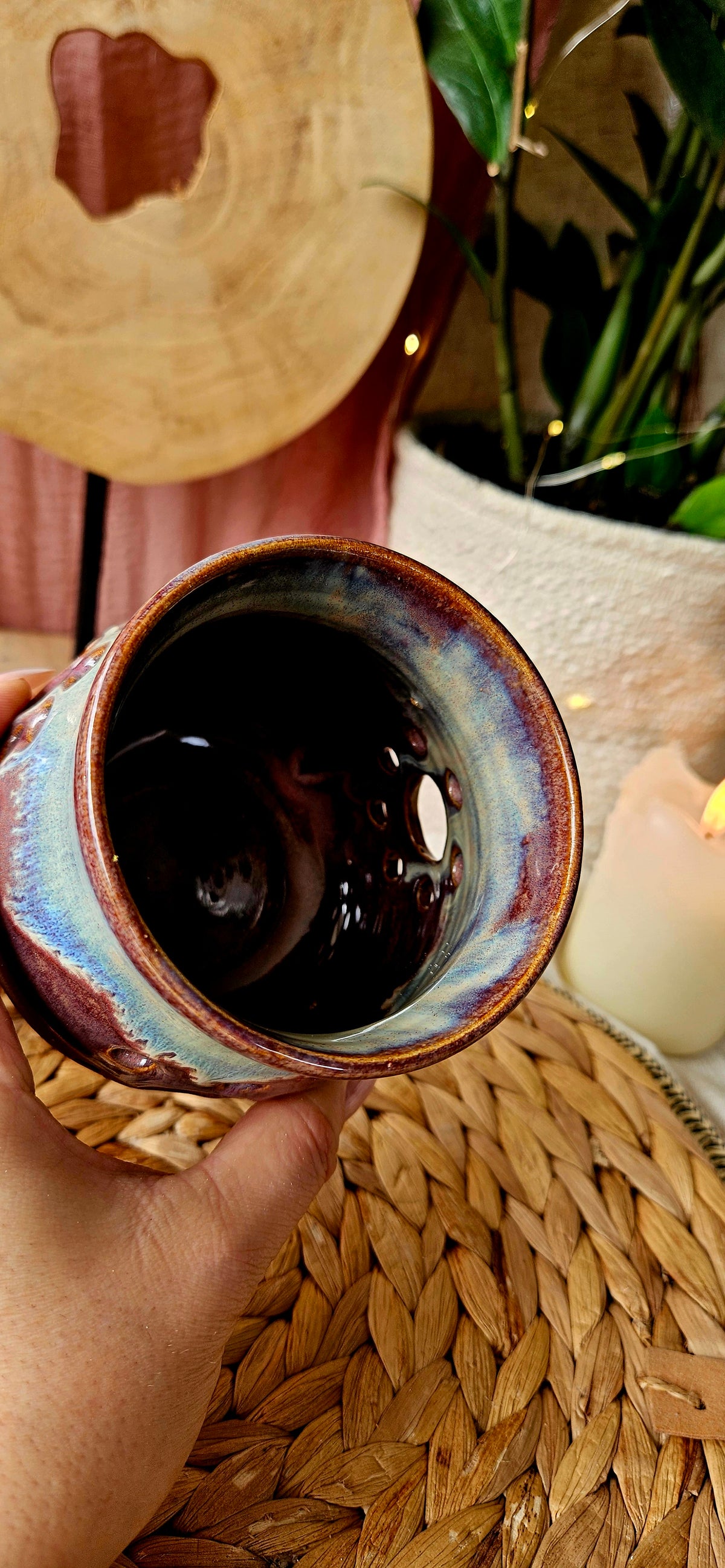 Traumhaft schöner Leuchtie in toller Farbkombi🌺🫶