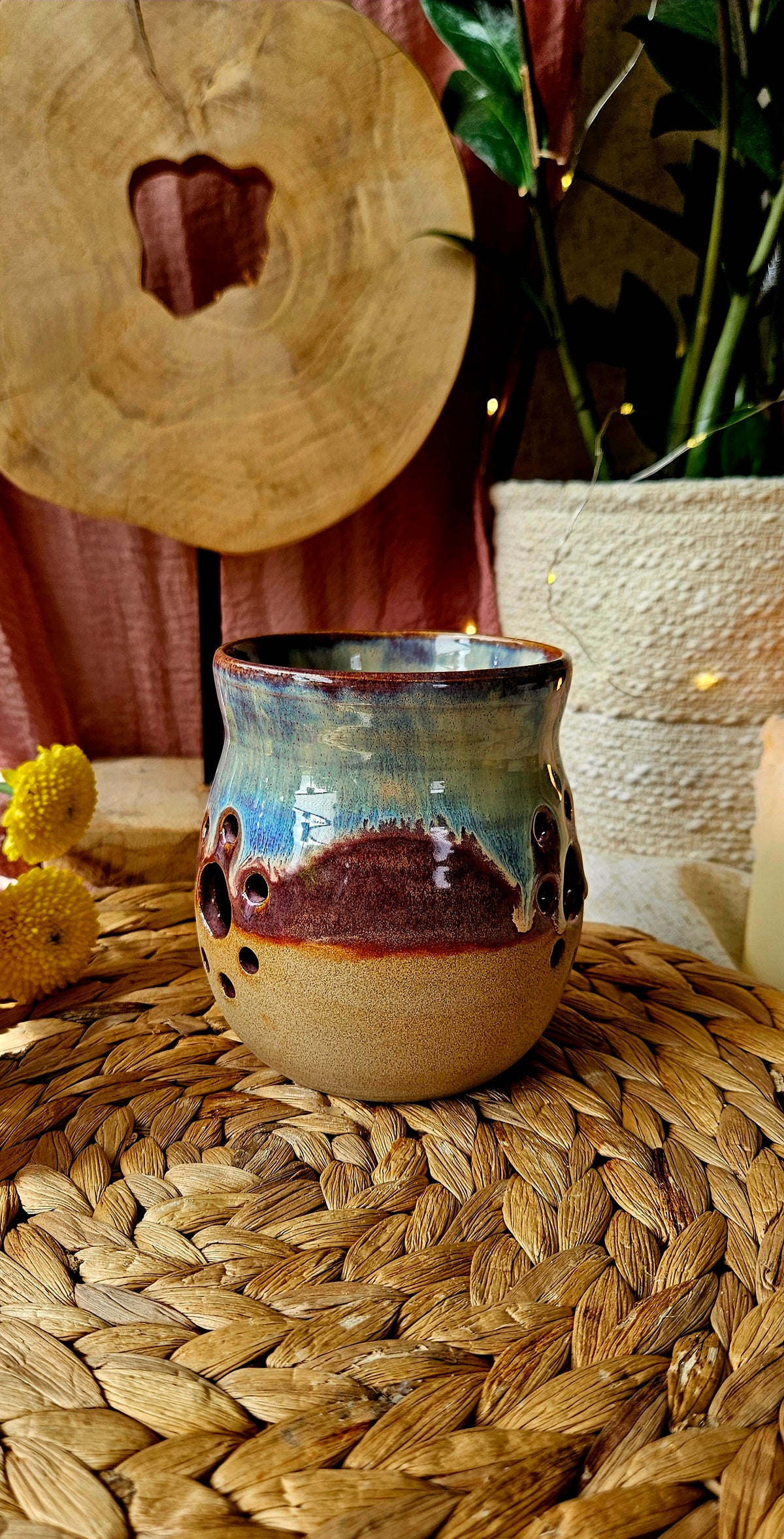 Traumhaft schöner Leuchtie in toller Farbkombi🌺🫶