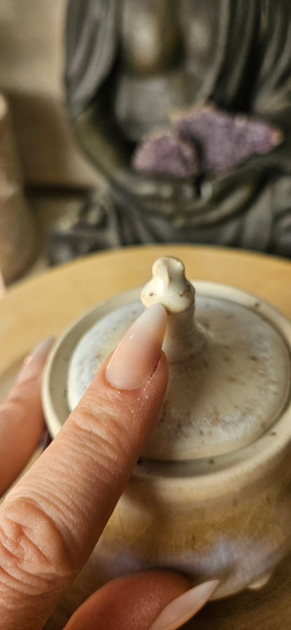 Wunderschöne Aufbewahrungsdose /Urne/ Erinnerung🫶✨️ B-Ware