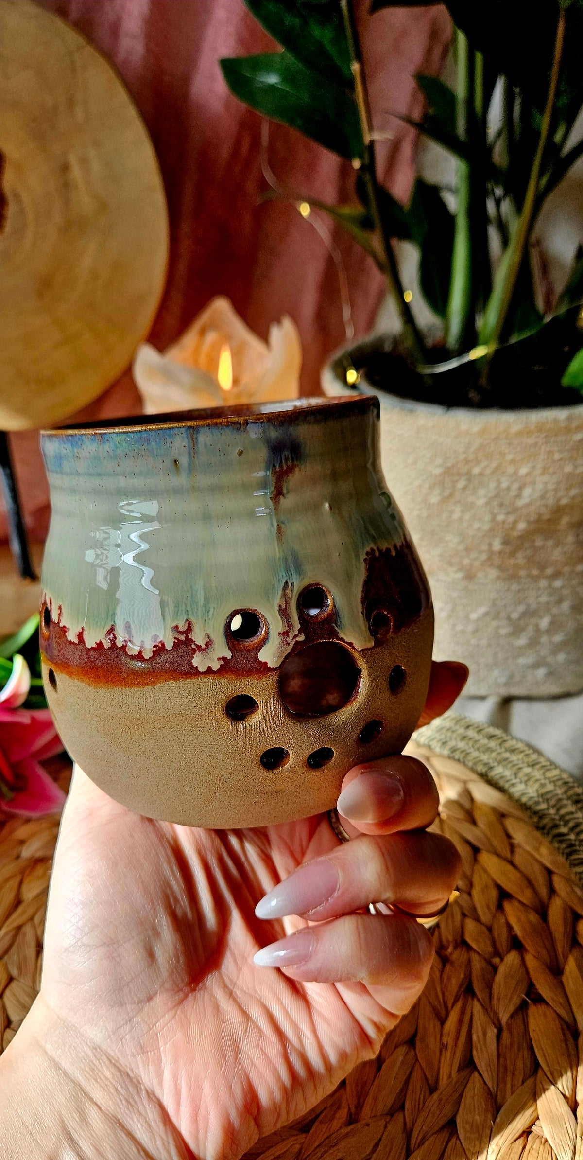 Atemberaubender Leuchtie in zauberhaften Farben💫🌷🫶